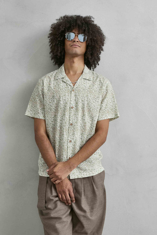 Detalle hojas verdes finas sobre fondo blanco