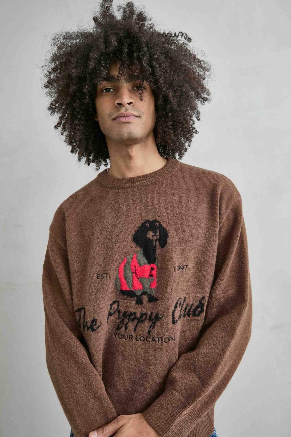 Jersey oversize de hombre marrón con dibujo de perro, vista detalle.