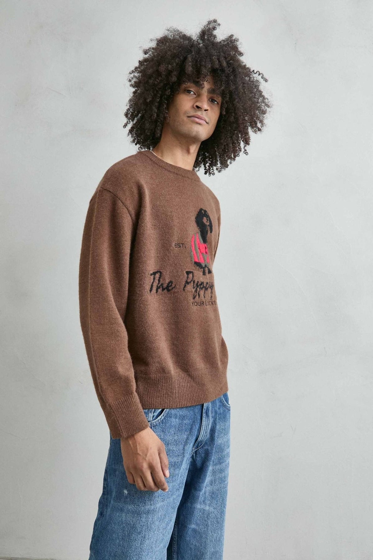 Jersey oversize de hombre marrón con dibujo de perro, vista frontal.