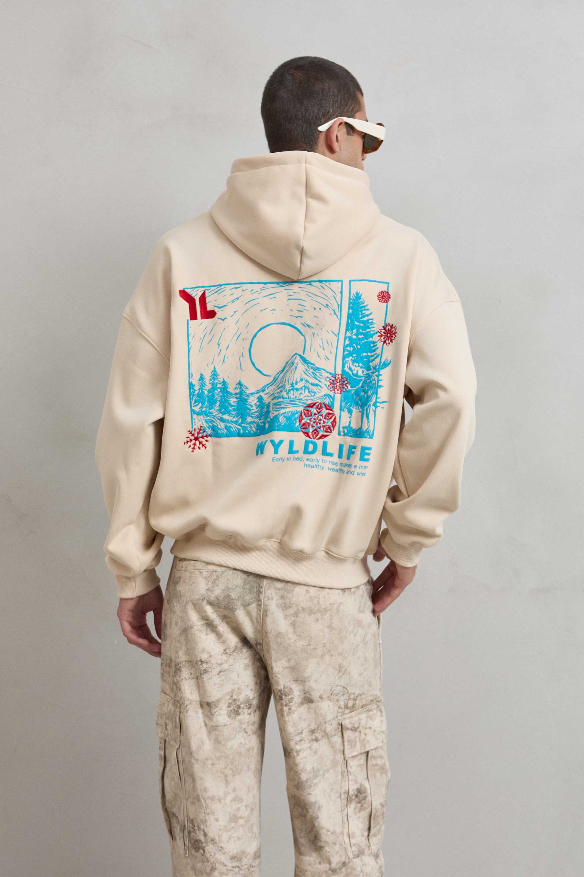 Detalle del gráfico de montaña nevada en la espalda