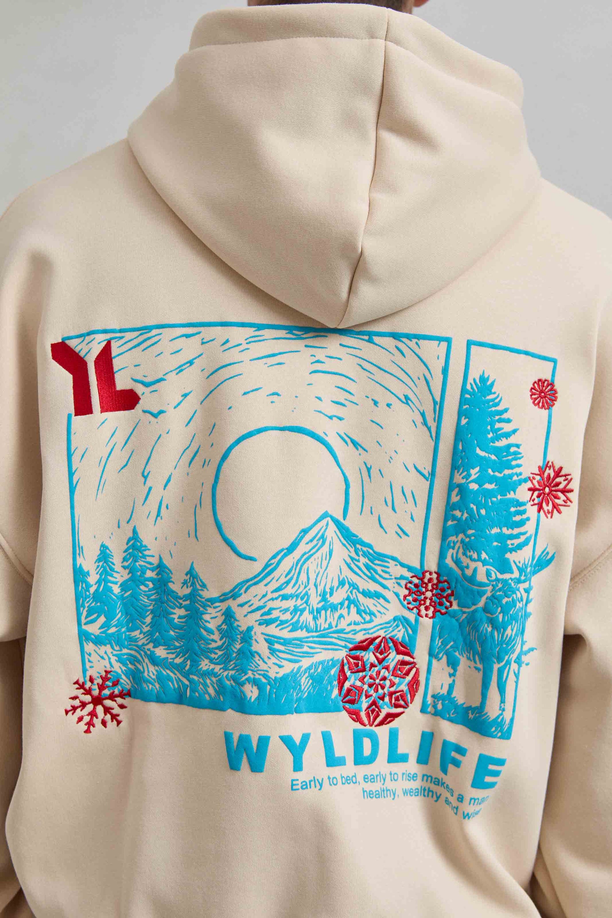 Detalle del gráfico de montaña nevada en la espalda